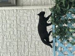 【お題日記】Hの後することは？