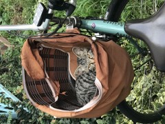 【お題日記】これだけは譲れないHのルールは？