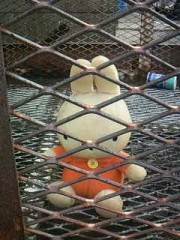 早くだしてくれぇ