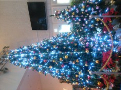 クリスマスツリー