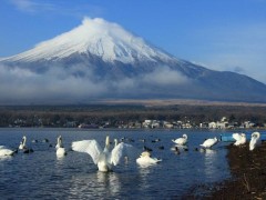 【お題日記】2018年あけましてのご挨拶♪
