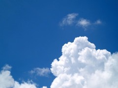 今日は大暑の日