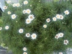 久々に実家にいってみた・・・