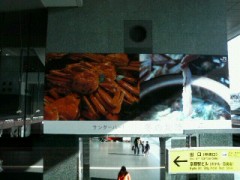 オモテは真面目に総括！・・・