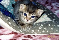 華金★ちょっと酔っ払ぃです(☆´｀*)