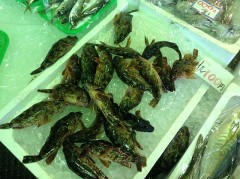 【お題日記】普通のエッチと一人エッチどっちが好き？