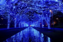 クリスチャンかい？