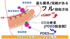 糖質は摂ったらアウト！