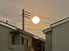 中秋の名月（ハーベストムーン）