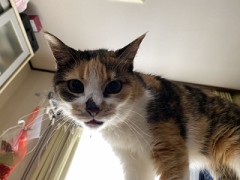 まだマスクしてるのかな？