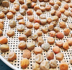 梅雨明けしたって？