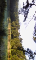 強制起床からの半袖半ズボン１km山道はツラいと…