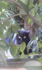 自慢の写真&四字熟語&やる気スイッチ&自信