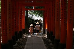 お気に入りの写真見せて