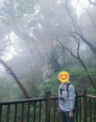 縄文杉感動o(^o^)o