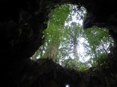 家はやっぱり落ち着く(｡･ω･｡)