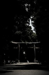 最近丸くなったなと思うこと