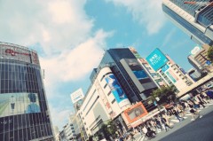 １つ願いが叶うなら