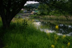 今日のお題まとめて回答