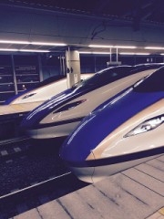 【お題日記】最近好きな芸能人