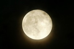 【お題日記】デジカフェの長所と短所