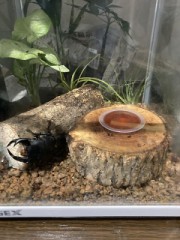 【お題日記】堪らずもう1回…っておねだりした経験