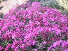 男女の友情って？