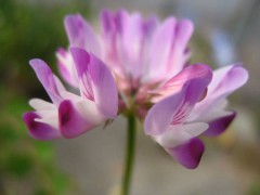 どこまで許せるか？