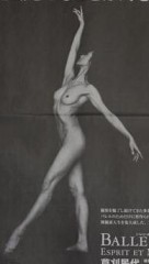 今日は華です。