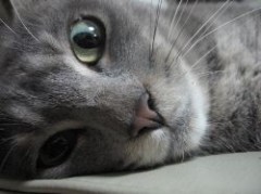 今日は雨ですね・・・