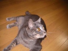 いつまで雨？？？