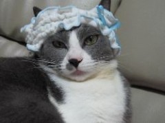 簡単いちご牛乳♪