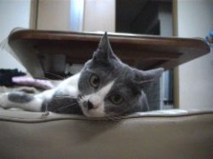 寒いです・・・