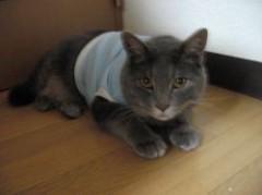 歯医者通いの日々続く（笑）