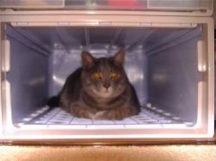 もう１２月だわぁ～