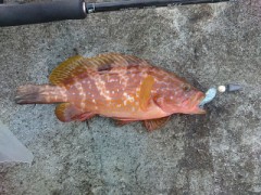 【お題日記】今、一番欲しい家電は？