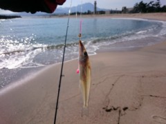 【お題日記】梅雨の楽しみ方♪