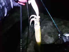 【お題日記】一日の中で一番好きな時間