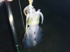 【お題日記】ちょっと自慢できるテク