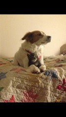 沢山癒されてるｮ(^-^)