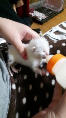 新入りです(^^♪