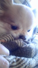 布団ちゅっちゅ