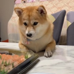 実家