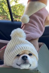 寒い日