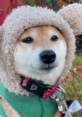 成人式