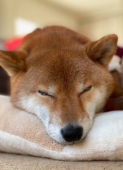 ポカポカ陽気