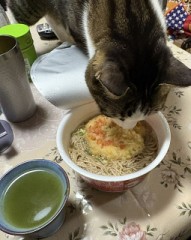 狙われた蕎麦