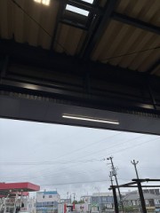 ゲリラ豪雨で雨宿り