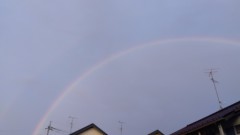 雨上がりの虹