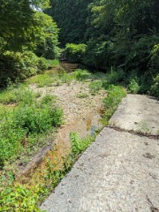ちょっと山登り